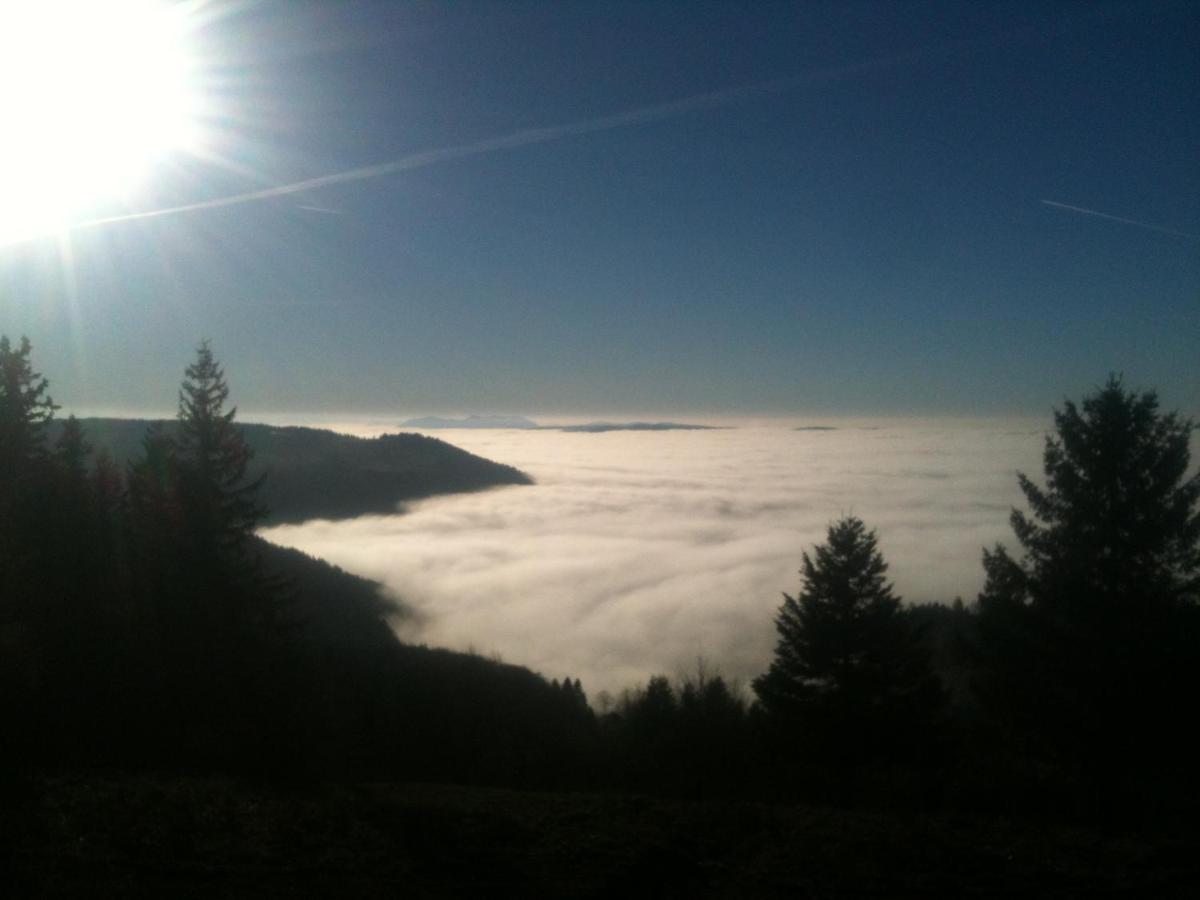 Les Gites De La Serva - Champ Du Feu - Montagnes- Vosges Belmont  Екстериор снимка