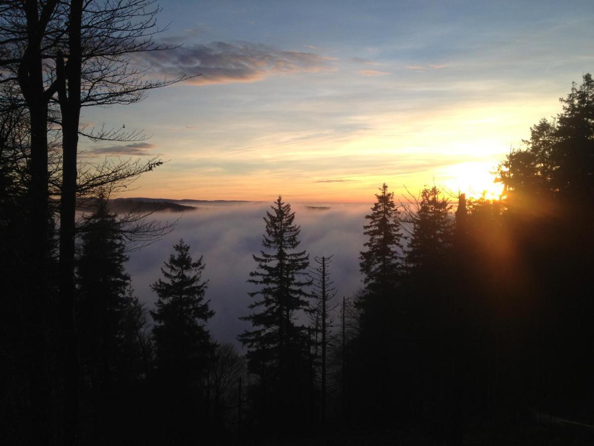 Les Gites De La Serva - Champ Du Feu - Montagnes- Vosges Belmont  Екстериор снимка