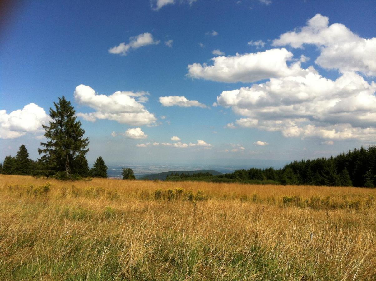 Les Gites De La Serva - Champ Du Feu - Montagnes- Vosges Belmont  Екстериор снимка